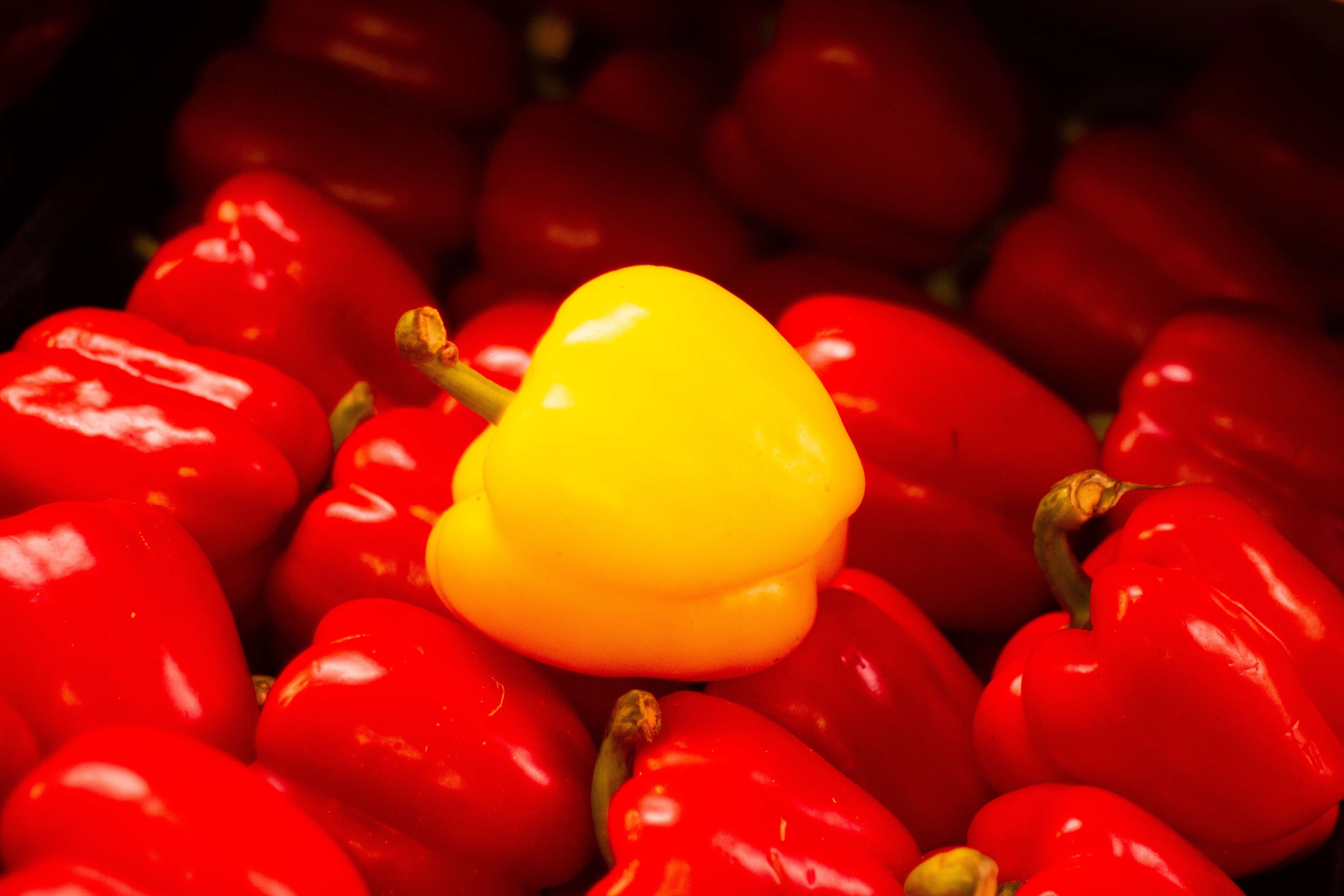 yellow bell pepper among red peppers