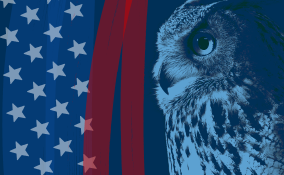 Sage Owl and American Flag